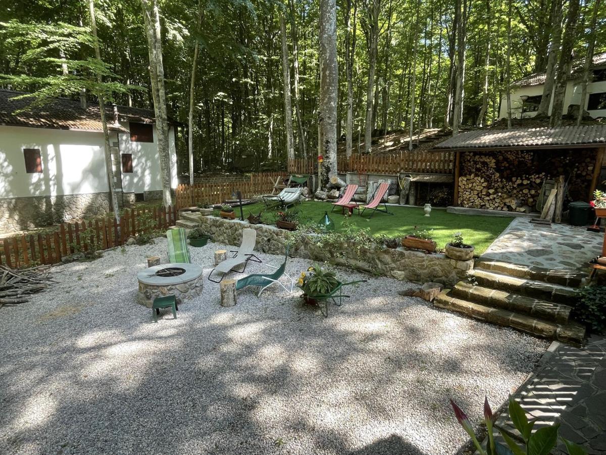 דירות אבדיאה סאן סלבטורה Chalet I Folletti מראה חיצוני תמונה