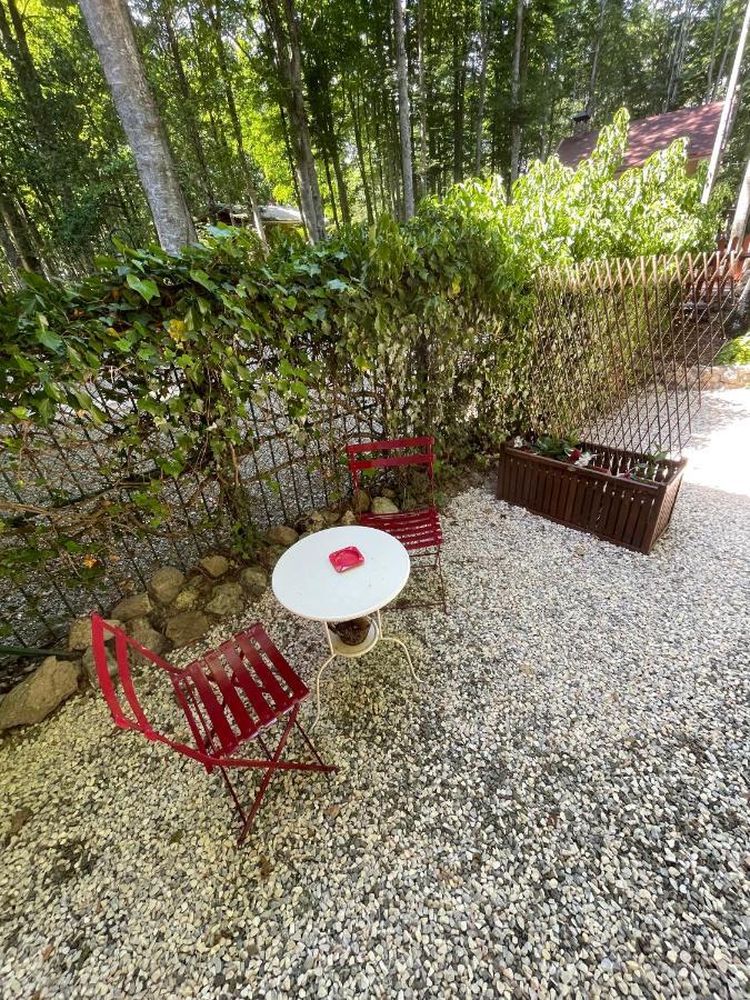 דירות אבדיאה סאן סלבטורה Chalet I Folletti מראה חיצוני תמונה