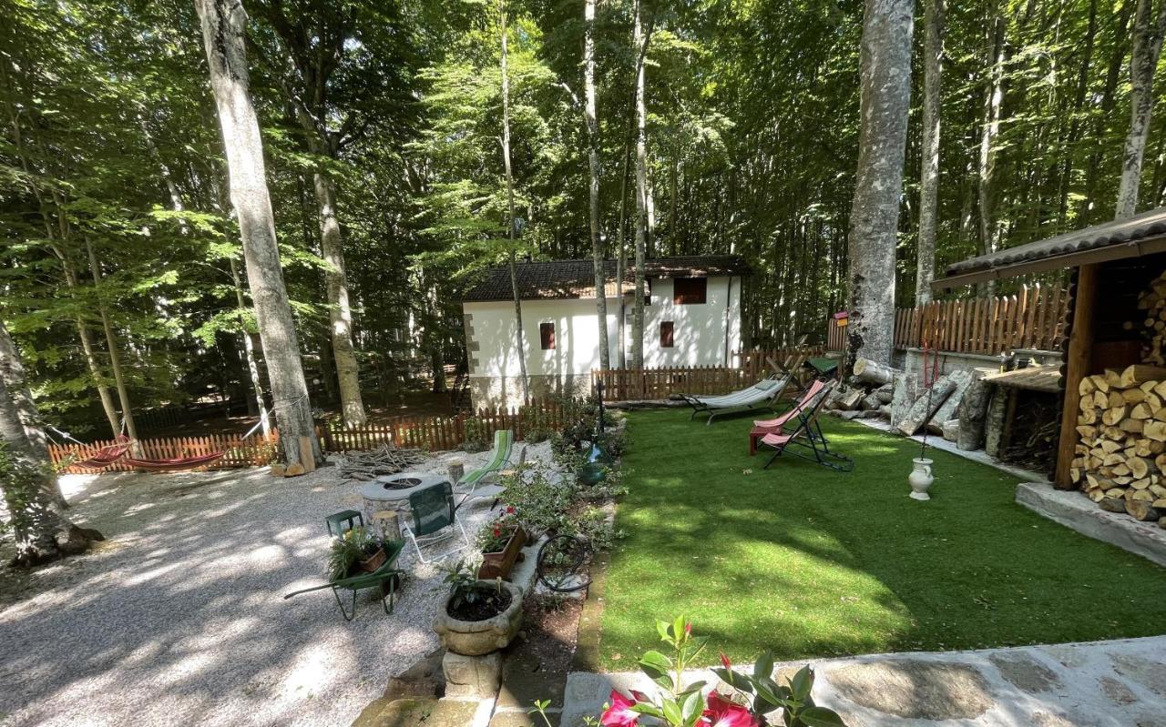 דירות אבדיאה סאן סלבטורה Chalet I Folletti מראה חיצוני תמונה