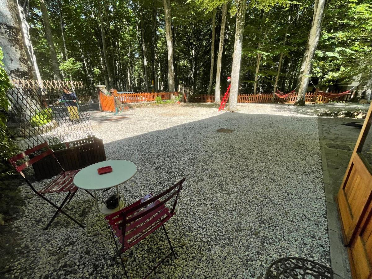 דירות אבדיאה סאן סלבטורה Chalet I Folletti מראה חיצוני תמונה