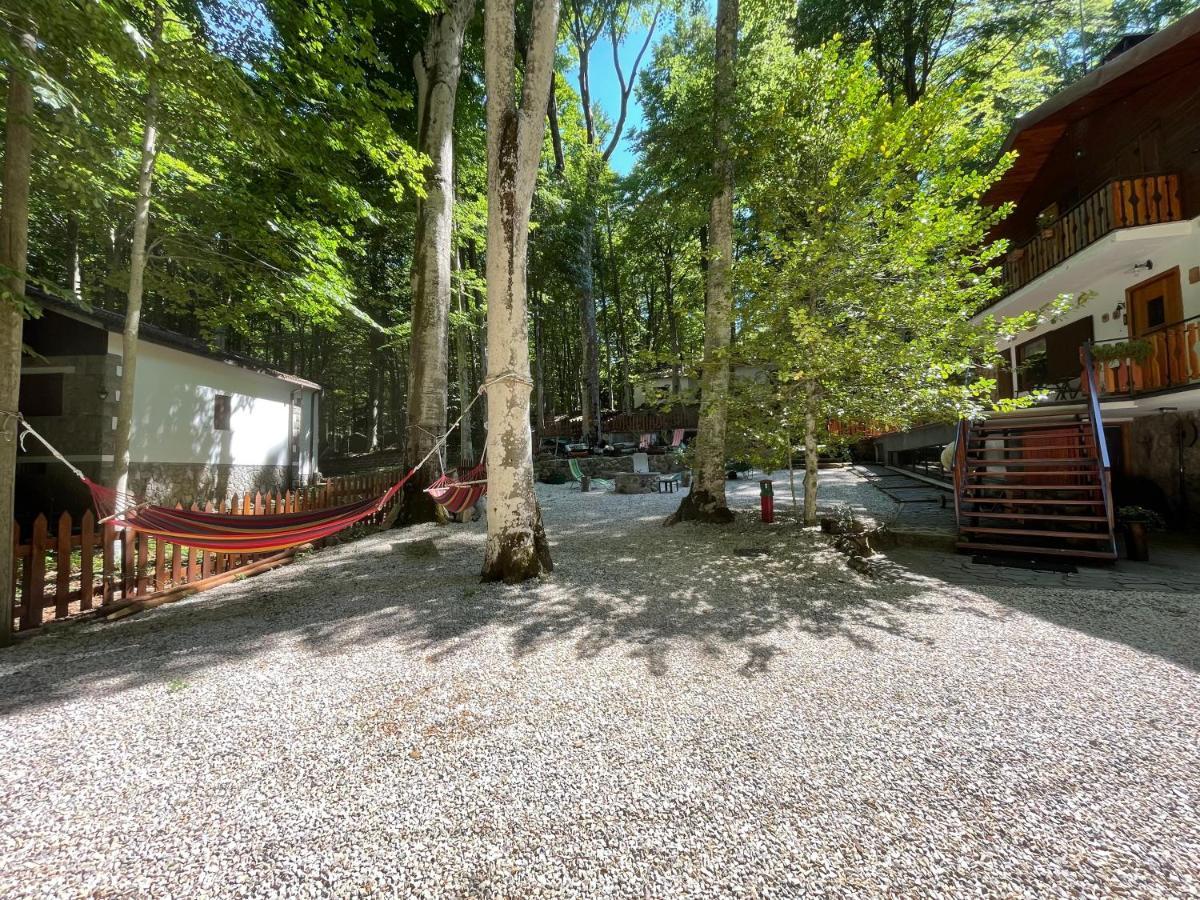 דירות אבדיאה סאן סלבטורה Chalet I Folletti מראה חיצוני תמונה