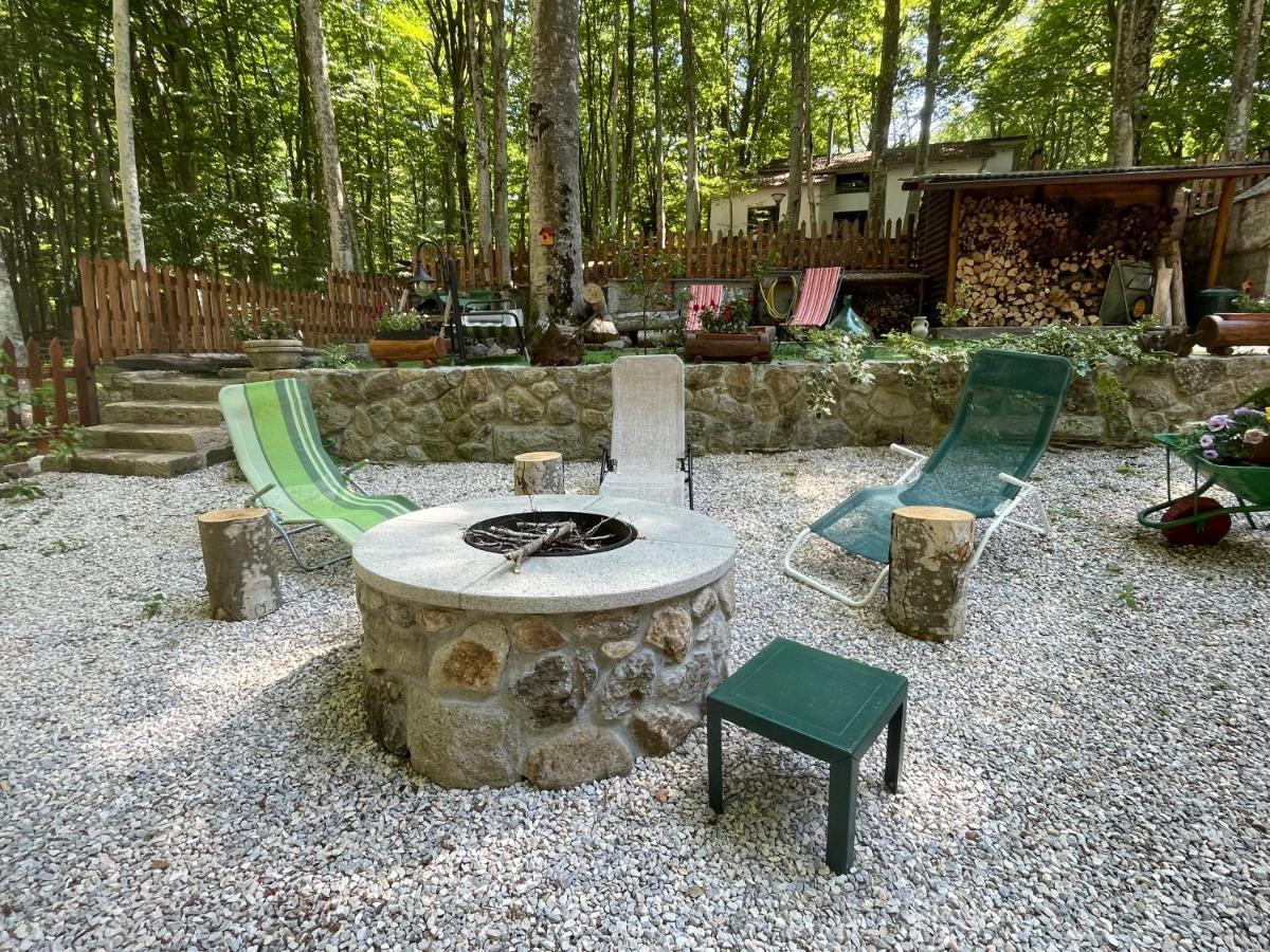 דירות אבדיאה סאן סלבטורה Chalet I Folletti מראה חיצוני תמונה